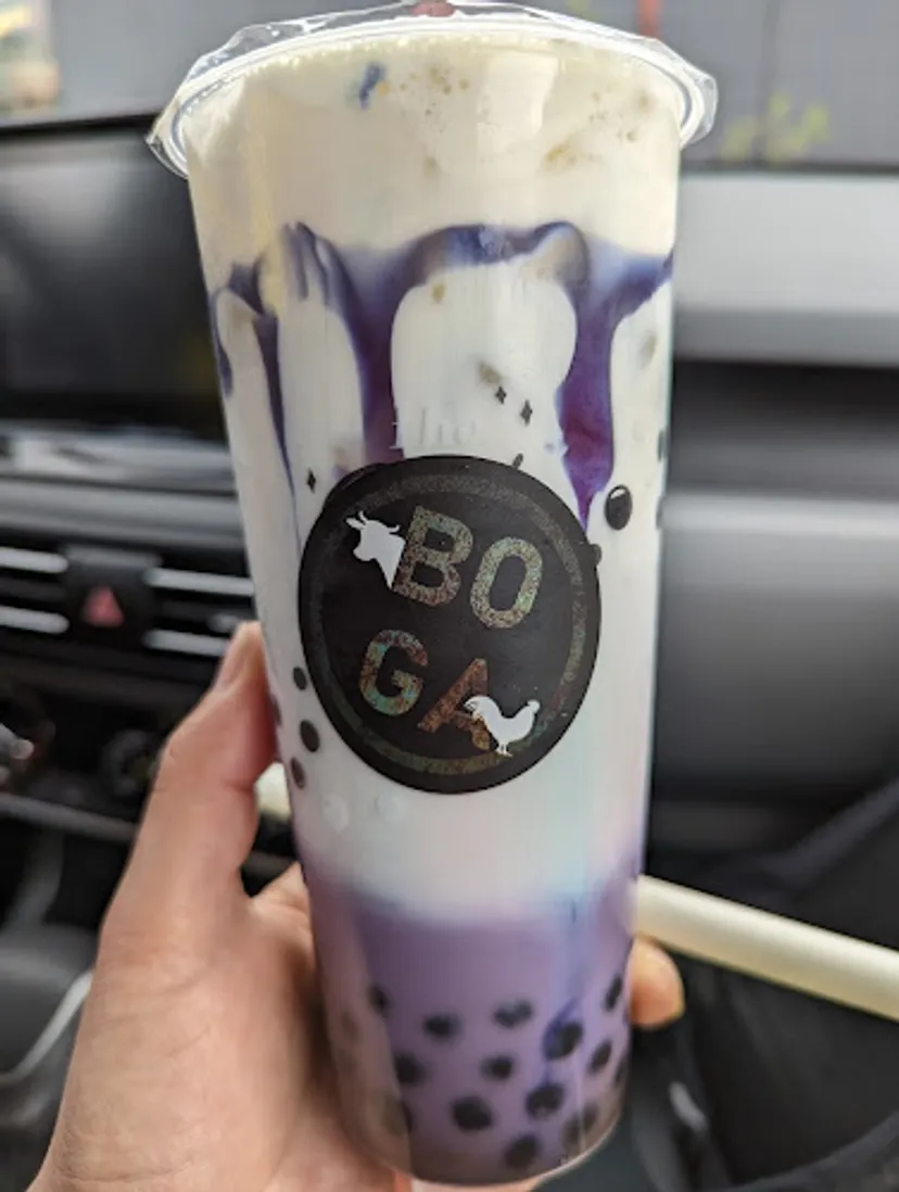 BOGA